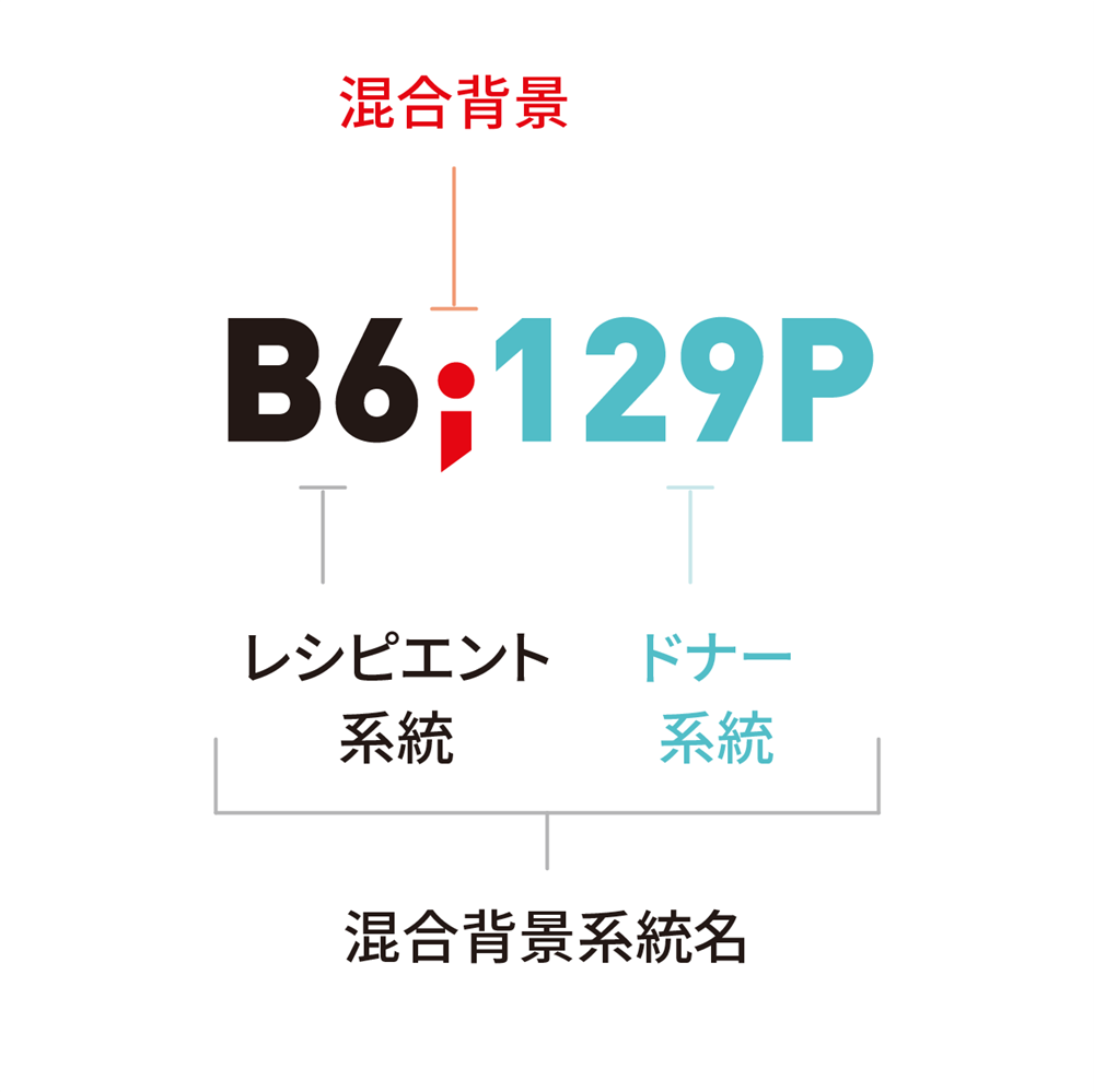 混合背景の例