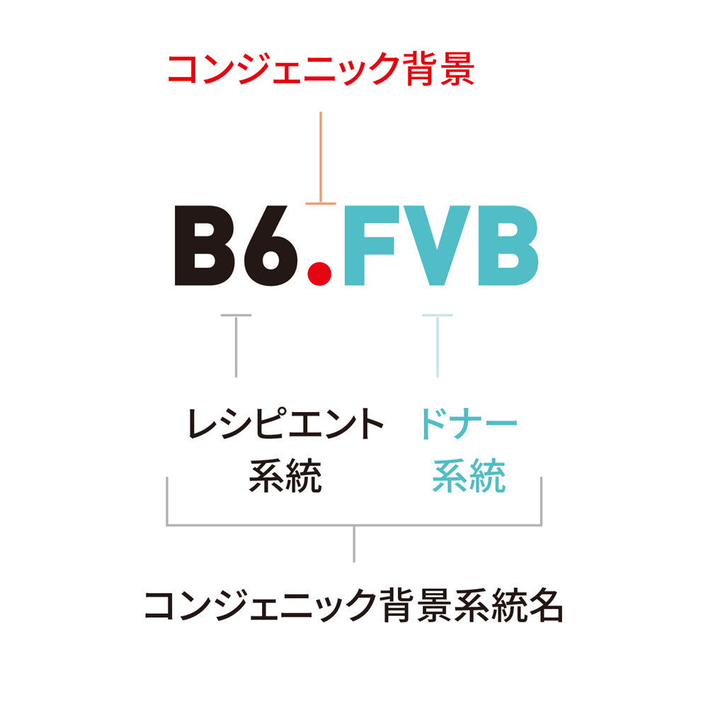 コンジェニック背景の例
