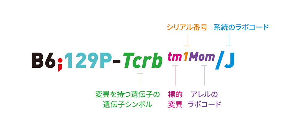 ノックアウトの例