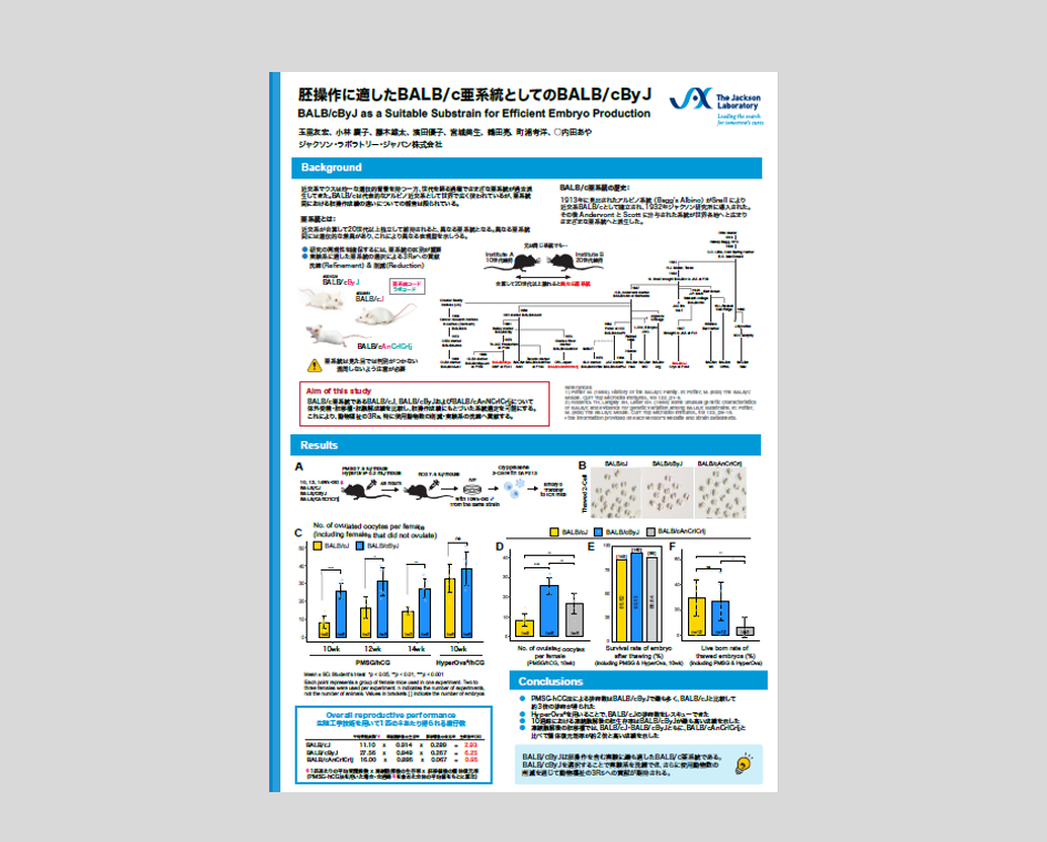 ポスターサンプル1